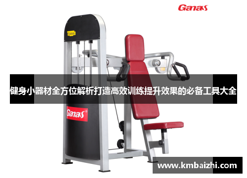 健身小器材全方位解析打造高效训练提升效果的必备工具大全