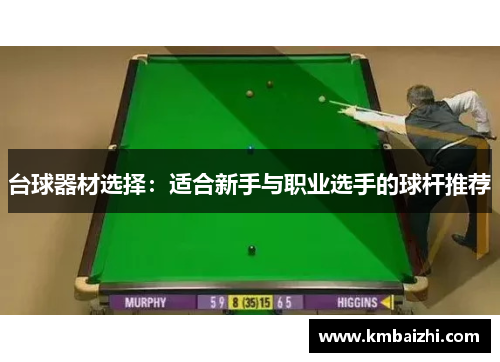 台球器材选择：适合新手与职业选手的球杆推荐