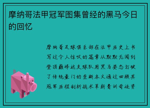 摩纳哥法甲冠军图集曾经的黑马今日的回忆