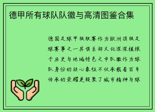德甲所有球队队徽与高清图鉴合集